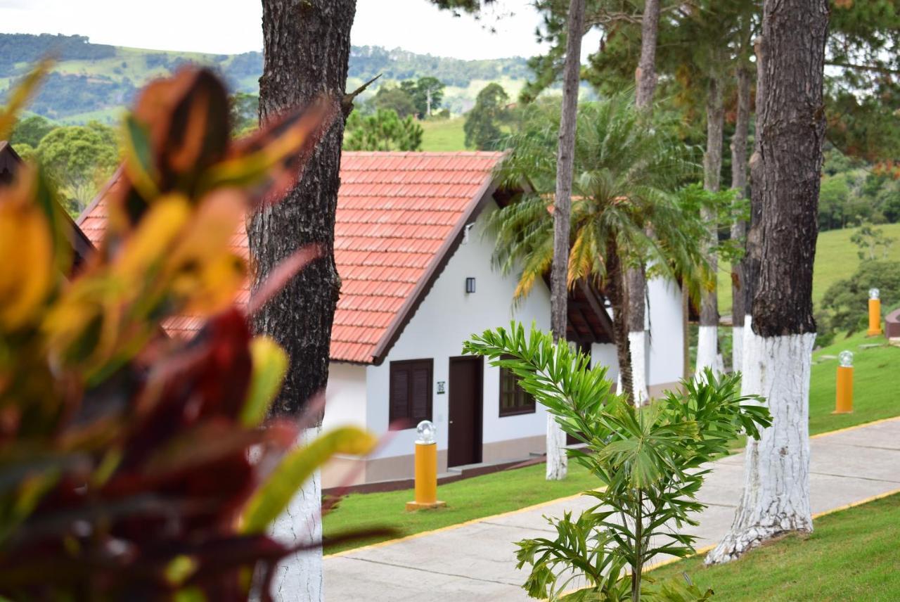 Dona Paschoalina 4*